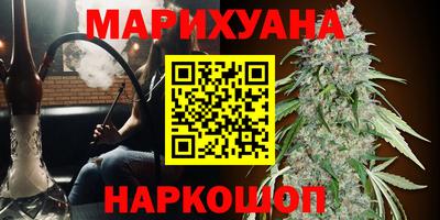 гидра Краснознаменск
