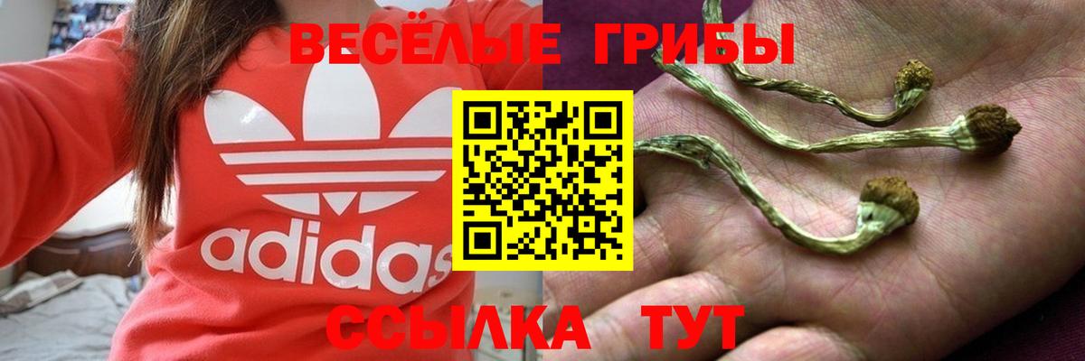 Галлюциногенные грибы мицелий Королёв