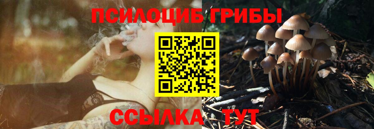 купить наркоту  Вход с VPN  Королёв  Псилоцибиновые грибы GOLDEN TEACHER 