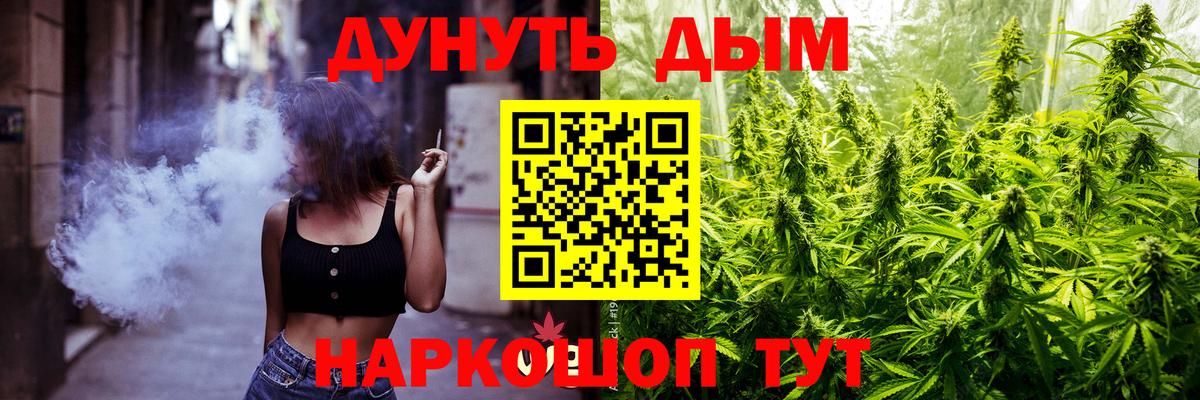 Конопля гибрид  Вход с VPN  Королёв  Каннабис семена 